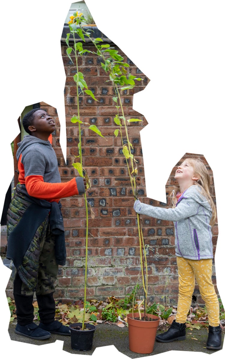 kids with sunflowers